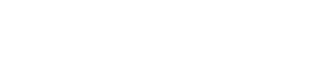 DetailerBud white car silhouette brand mark